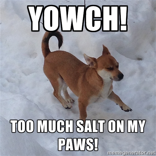 Did you know using too much salt and other ice-melting chemicals can hurt pet paws? Smart use of deicing products can also help minimize impacts on our watersheds.