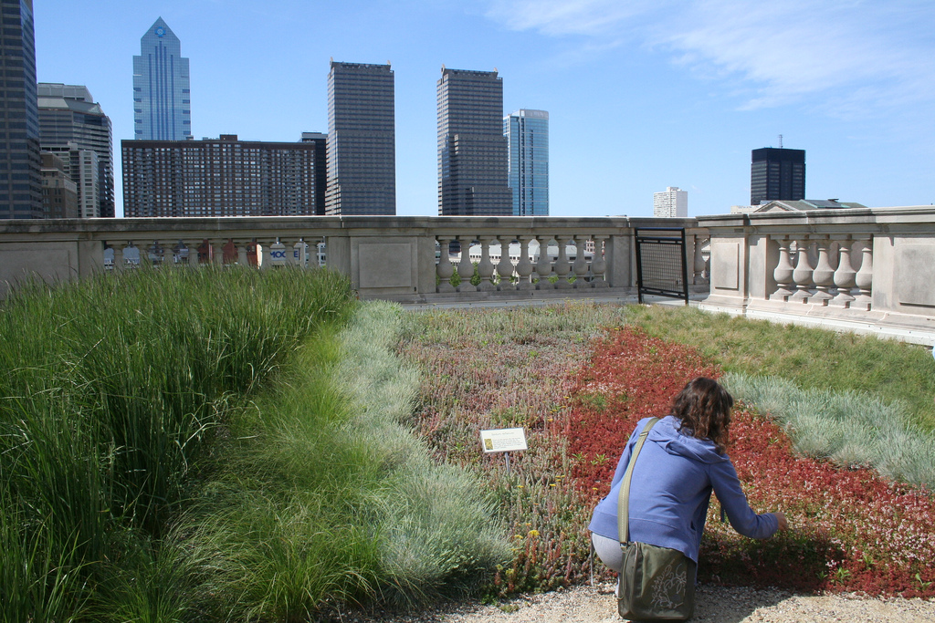 Green Roof on Philadelphia Central Library