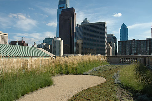 The Philadelphia skyline frames a stormwater-fighting green roof on the Free Library of Philadelphia. Our city is leading the way on green infrastructure. Credit: Philadelphia Water.