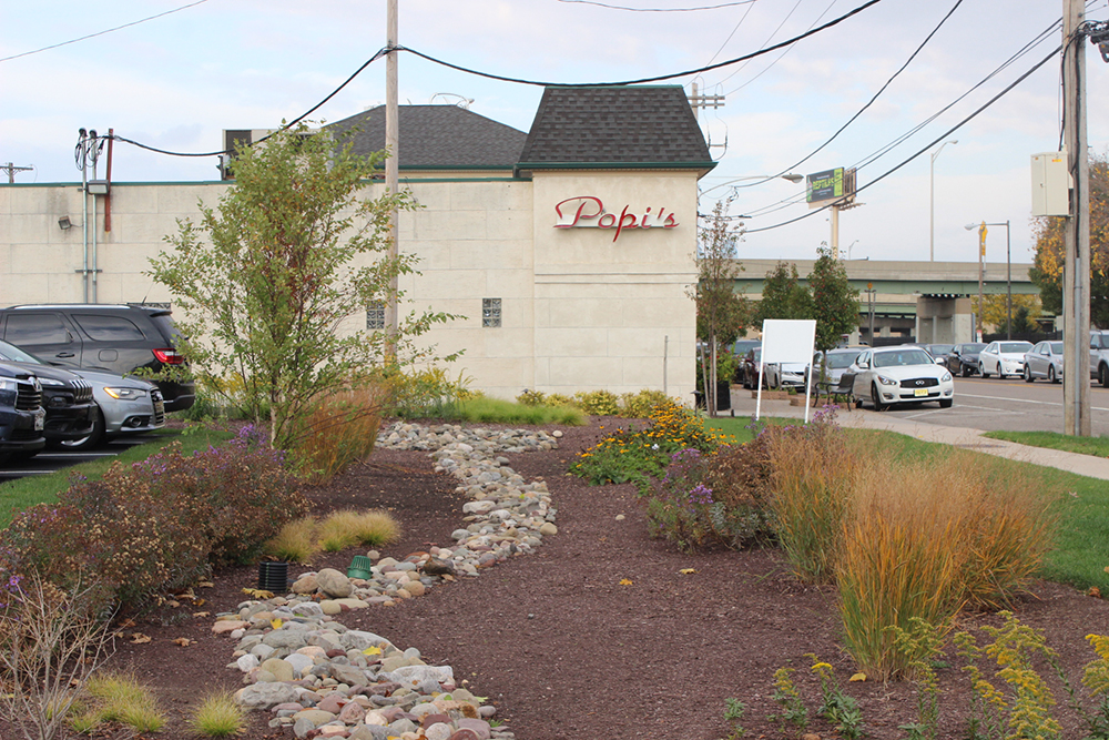 Popi's co-owner Gina Ricci talks about why using a SMIP grant to build rain gardens in the restaurant parking lot was such a smart financial move. Credit: Philadelphia Water