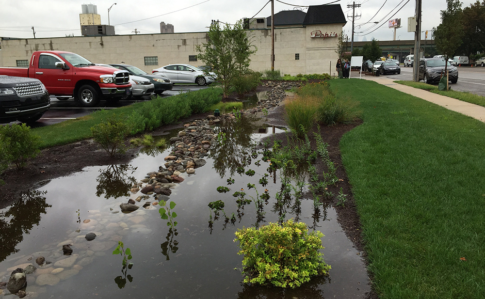 This rain garden is making our rivers cleaner while adding value to a South Philly business and block. Credit: Philadelphia Diner.